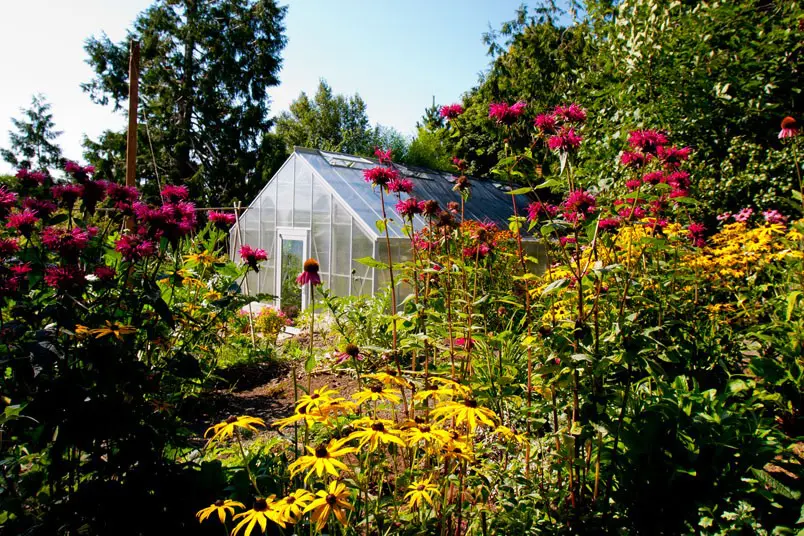 Cottage Greenhouse Series