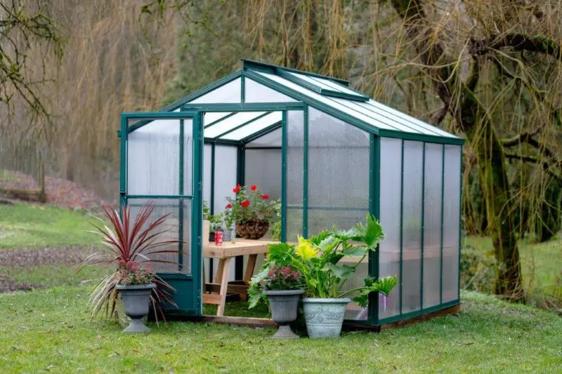 Sun Haven Twinwall Polycarbonate - 8' x 8'