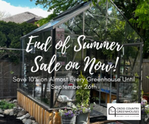 End of Summer Sale